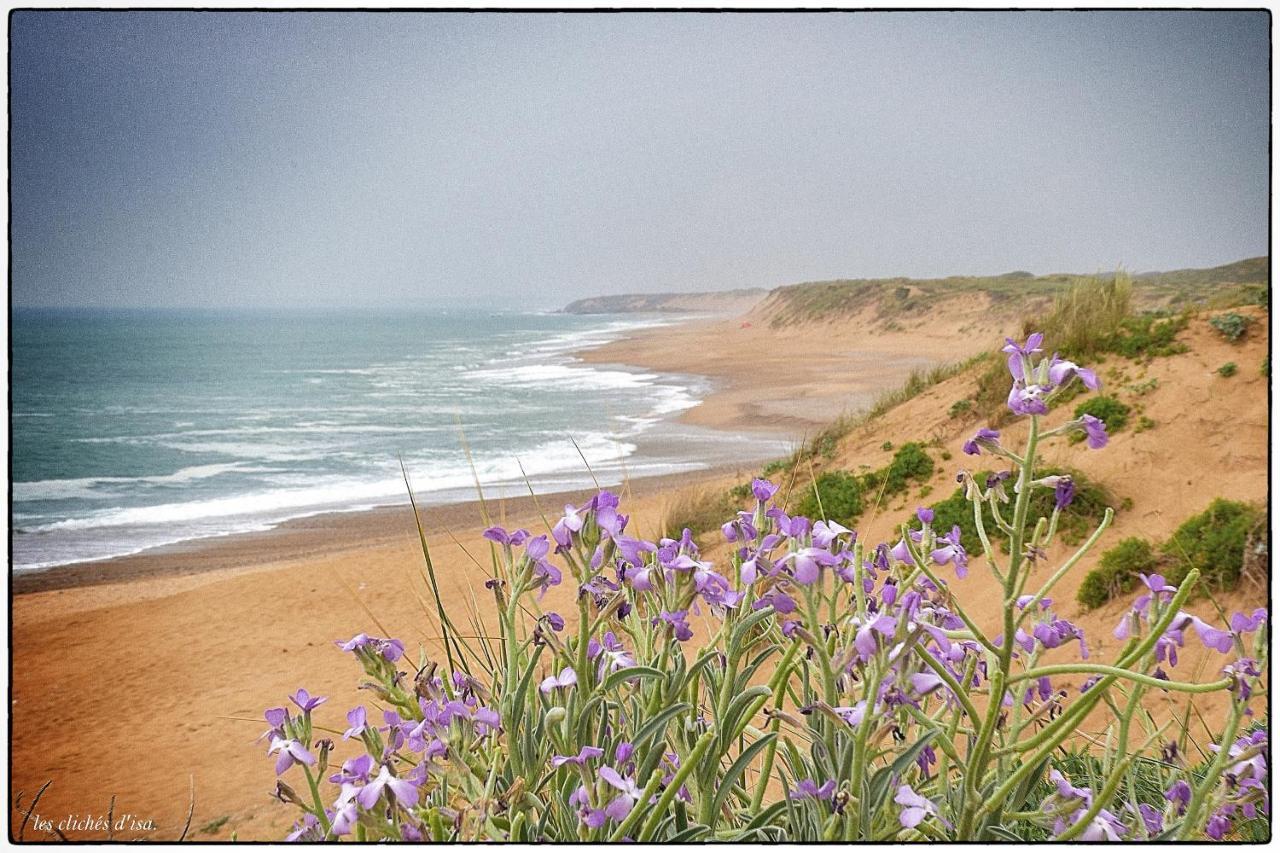 La Calypsette - Face Grande Plage Des Sables D'Olonne Les Sables-dʼOlonne Екстериор снимка